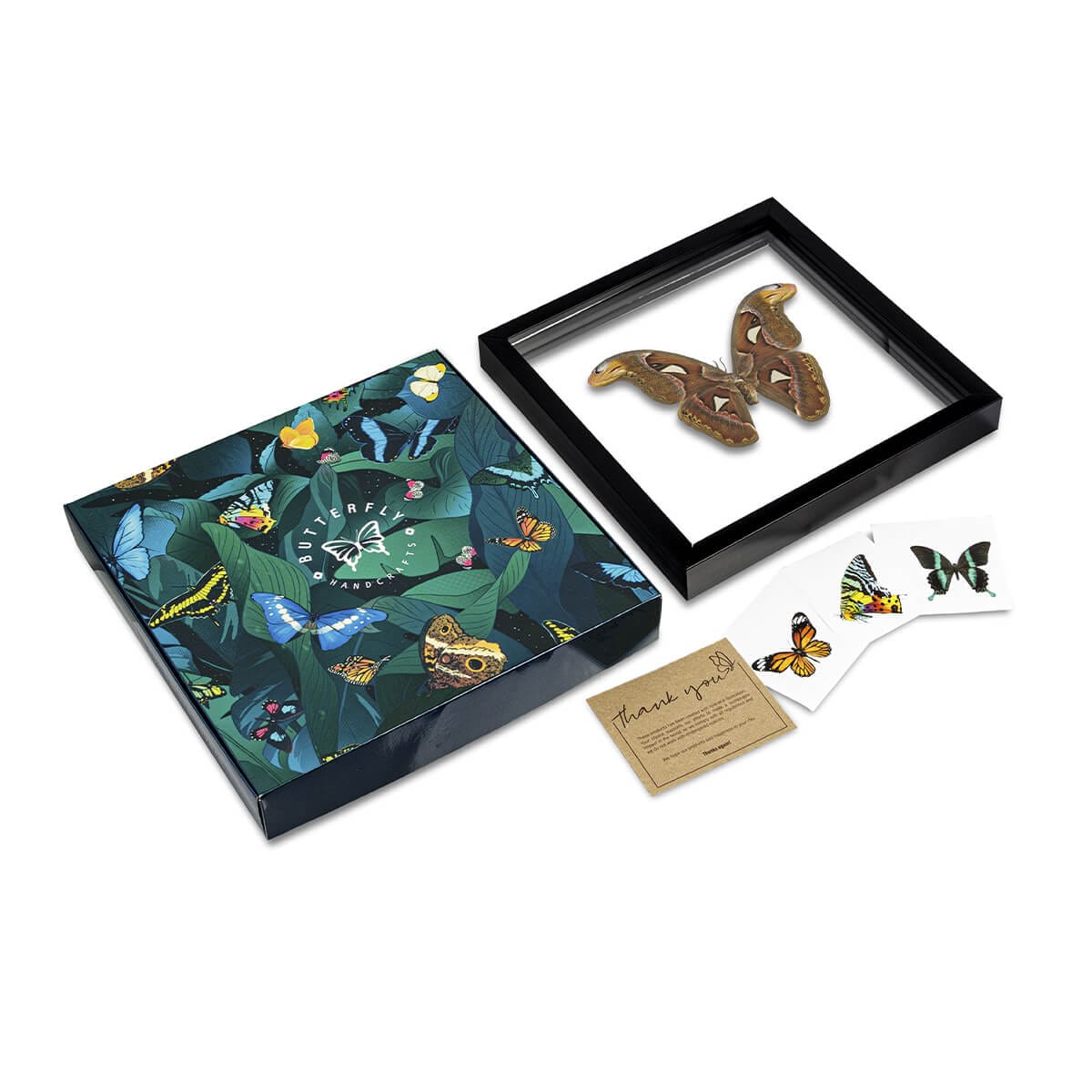 MCFotoProducto-40 (1) Caja de presentación y mariposa decorativa , fotografía de producto, Marcos Castellanos Fotografia